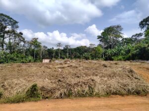 Biyebe-1