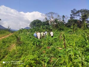 Tongo-1